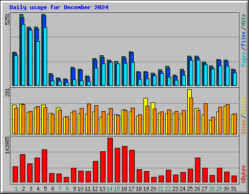 Daily usage for December 2024