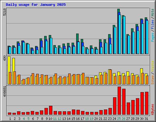 Daily usage for January 2025