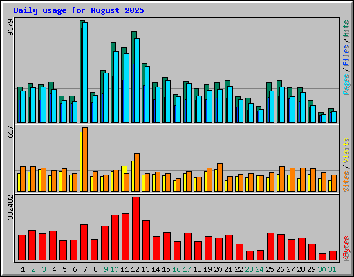 Daily usage for August 2025