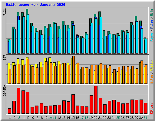Daily usage for January 2026