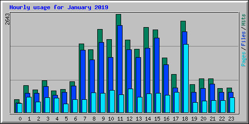 Hourly usage for January 2019