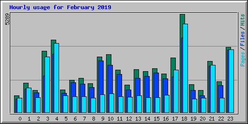 Hourly usage for February 2019