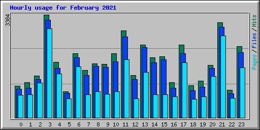 Hourly usage for February 2021