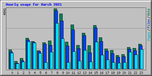 Hourly usage for March 2021