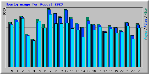 Hourly usage for August 2023