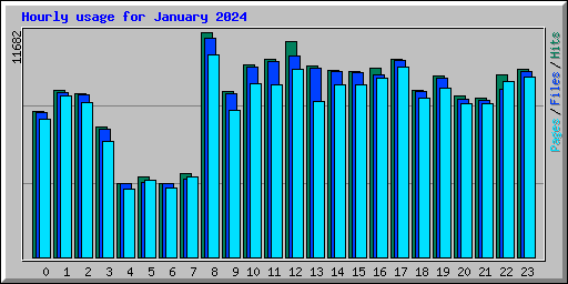 Hourly usage for January 2024