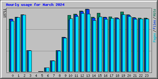 Hourly usage for March 2024