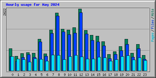Hourly usage for May 2024