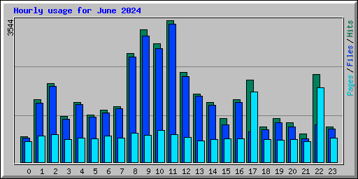 Hourly usage for June 2024