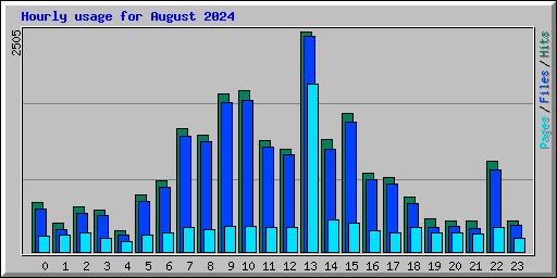 Hourly usage for August 2024