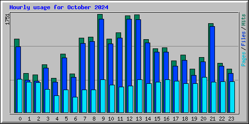 Hourly usage for October 2024