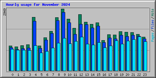 Hourly usage for November 2024