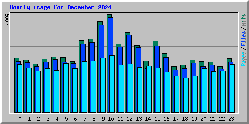 Hourly usage for December 2024