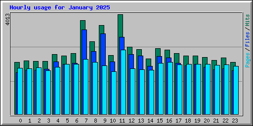 Hourly usage for January 2025