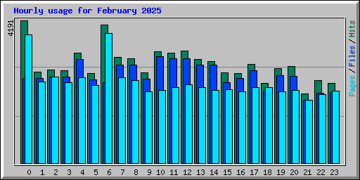 Hourly usage for February 2025