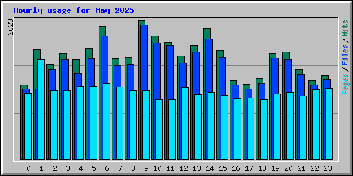 Hourly usage for May 2025