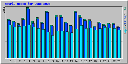 Hourly usage for June 2025