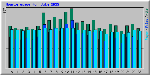 Hourly usage for July 2025
