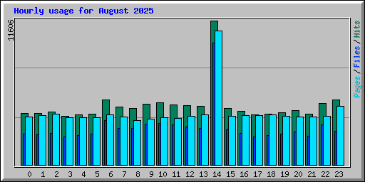 Hourly usage for August 2025