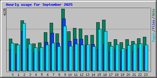 Hourly usage for September 2025