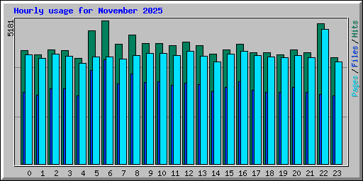 Hourly usage for November 2025
