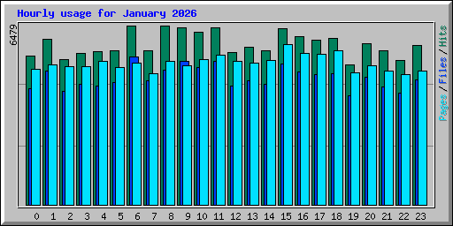 Hourly usage for January 2026